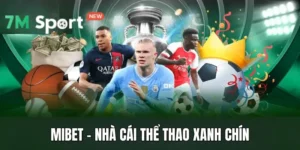 Mibet - Nhà Cái Thể Thao Xanh Chín, Tỷ Lệ Kèo Thơm 9 Mibet - Nhà Cái Thể Thao Xanh Chín, Tỷ Lệ Kèo Thơm