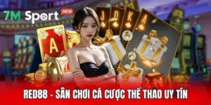 Red88 - Sân Chơi Cá Cược Thể Thao Uy Tín, Đẳng Cấp 2025 12 Red88 - Sân Chơi Cá Cược Thể Thao Uy Tín, Đẳng Cấp 2025